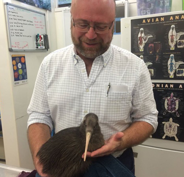 Ponente